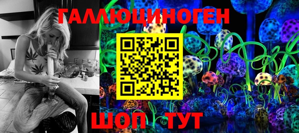 Галлюциногенные грибы мухоморы Дивногорск
